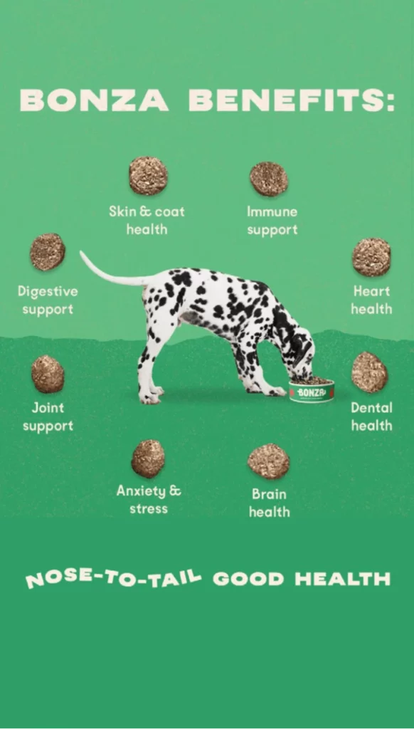 Bestes veganes, vegetarisches und entzündungshemmendes Hundefutter
