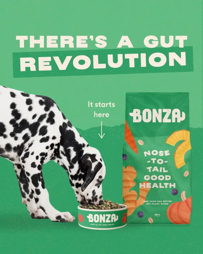 Beste voeding voor honden met diarree, braken en een verbeterde darmgezondheid
