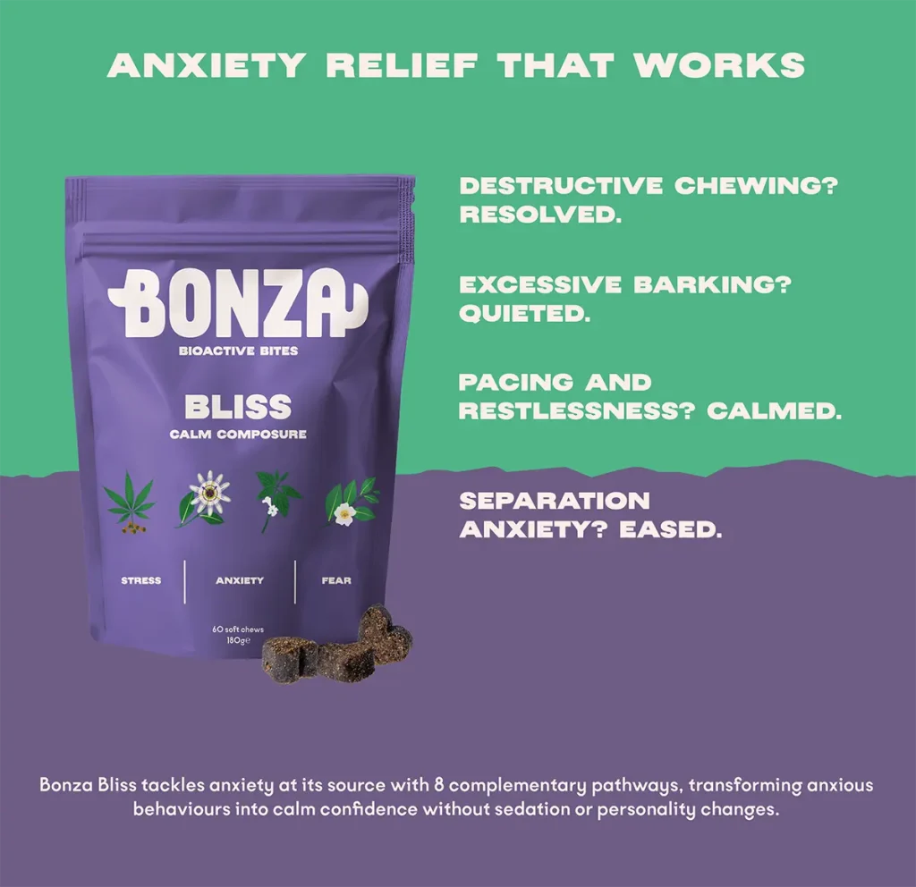 Bonza Bliss Bioactive Bites Calming Supplement for Dogs Stress Anxiety Reduces Chewing Barking and Restlessness (Supplément calmant pour chiens stressés, anxieux, aboyeurs et agités)