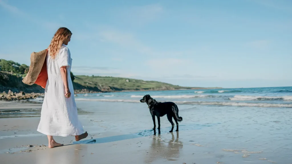 Vollständiger Leitfaden zur Lebensmittelsicherheit für Ihren Hund im Urlaub