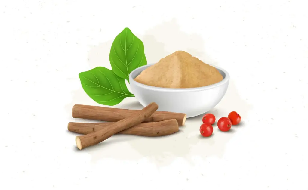 Nourriture pour chiens avec les bienfaits de l'ashwagandha