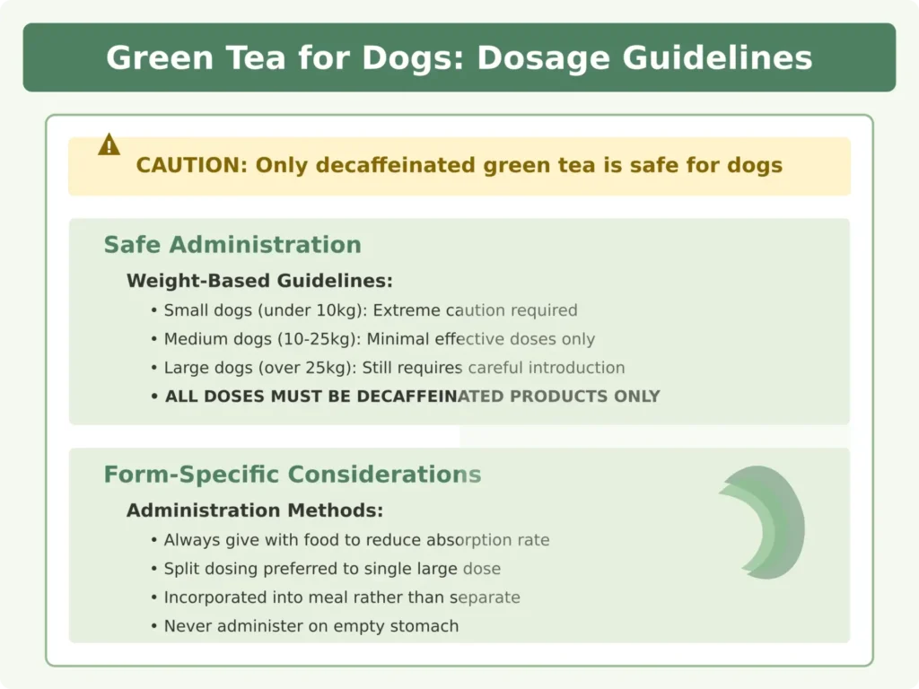Dosage du thé vert pour les chiens