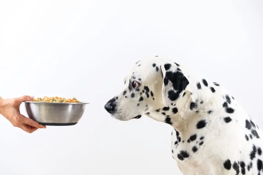 Hydrolysiertes Protein Hundefutter - Wirksamkeit und Risiken