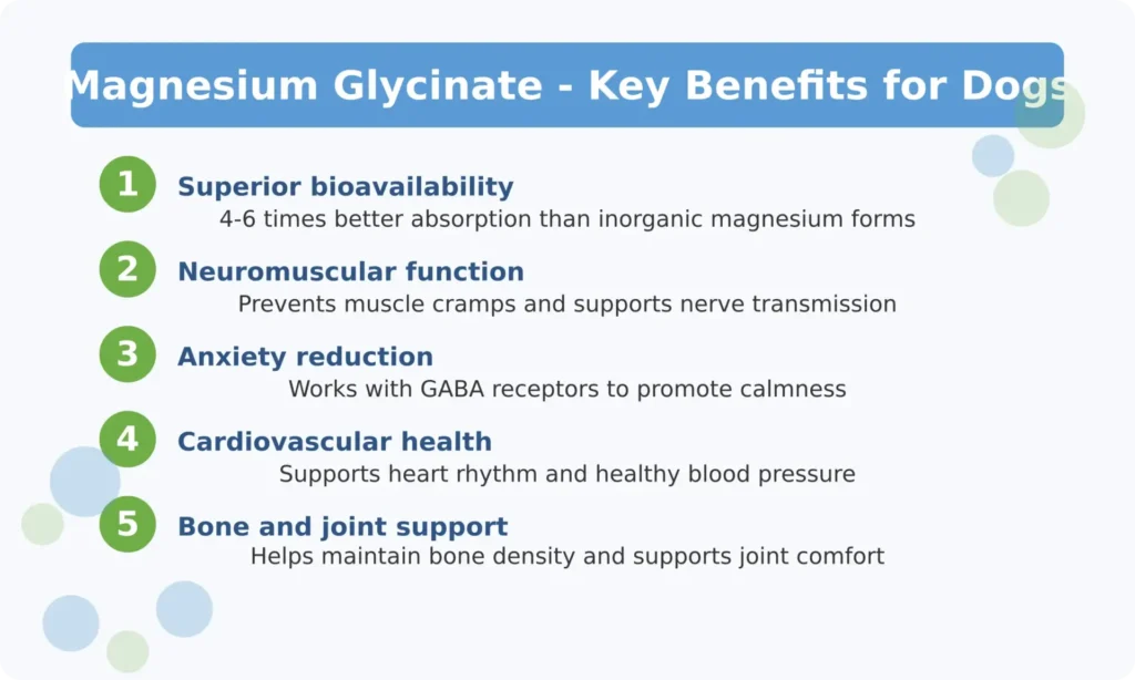 Les bienfaits du glycinate de magnésium pour la santé des chiens - Principaux enseignements