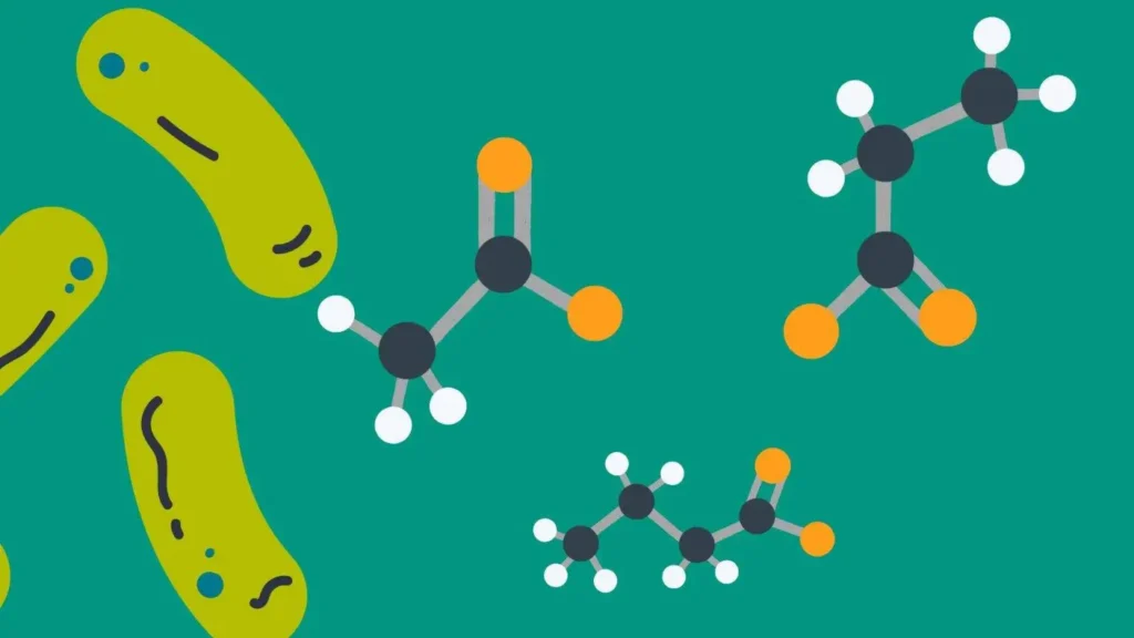 Kurzkettige Fettsäuren: Das verborgene Kraftpaket für die Gesundheit Ihres Hundes