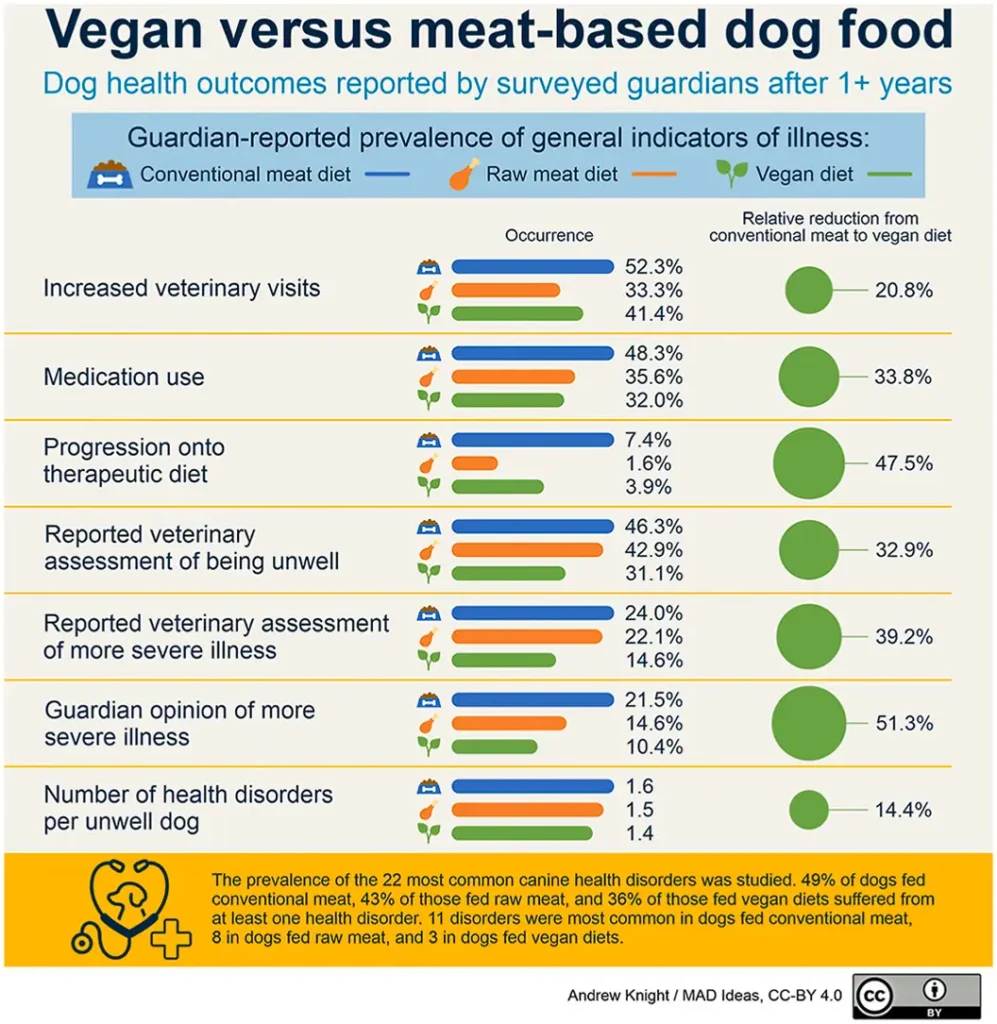 Veganes vs. fleischbasiertes Hundefutter - Unterschiede bei den Gesundheitsergebnissen