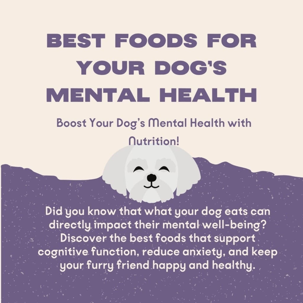 Los mejores alimentos para la salud mental de los perros: Una inmersión profunda