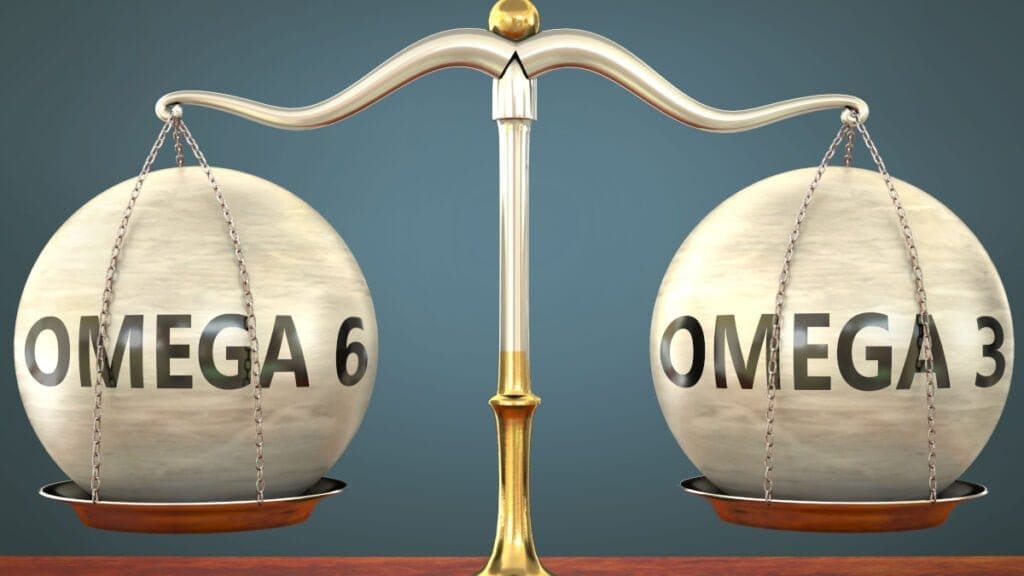 omega-6 - omega-3 verhouding juiste balans belangrijk voor gezondheid hond