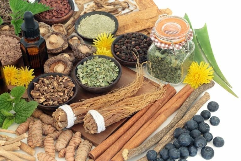 Adaptogènes et plantes adaptogènes pour les chiens