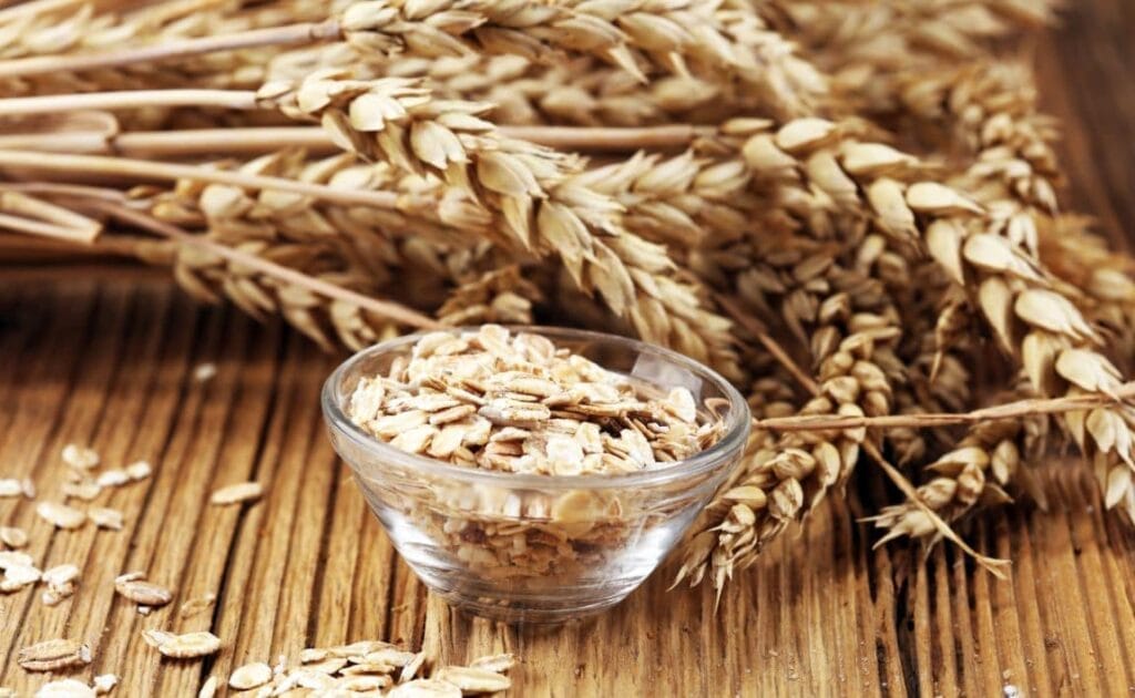 Sind Haferflocken gut für Hunde Gesundheit und Ernährungsvorteile von Haferflocken in veganem Hundefutter