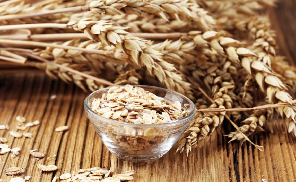 Are Oats Good for Dogs? Health Benefits and Nutritional Value