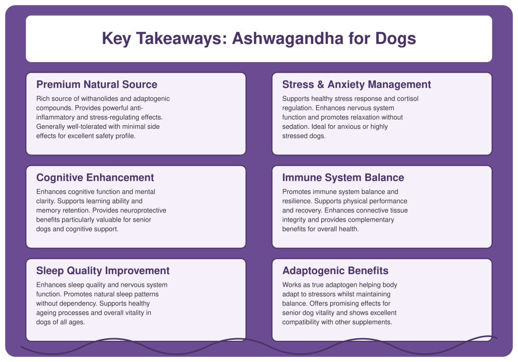 Ashwagandha para perros: descubre su impacto en la salud Aspectos clave