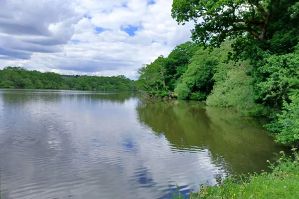 Balcombe Lake, Haywards Heath