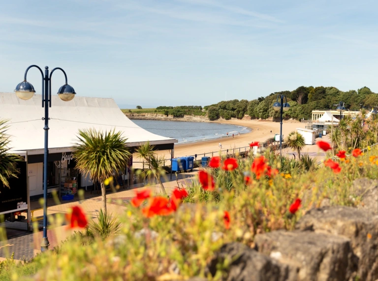 Barry Island, South Wales Dog Walks