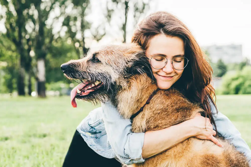 Les meilleurs aliments anti-inflammatoires pour les chiens souffrant d'arthrite Old Dog UK