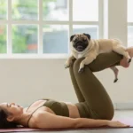 El mejor suplemento calmante para el estrés y la ansiedad de los perros - Comparación de las principales golosinas
