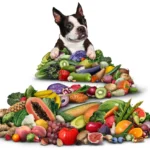 Bestes Futter für die Darmgesundheit von Hunden