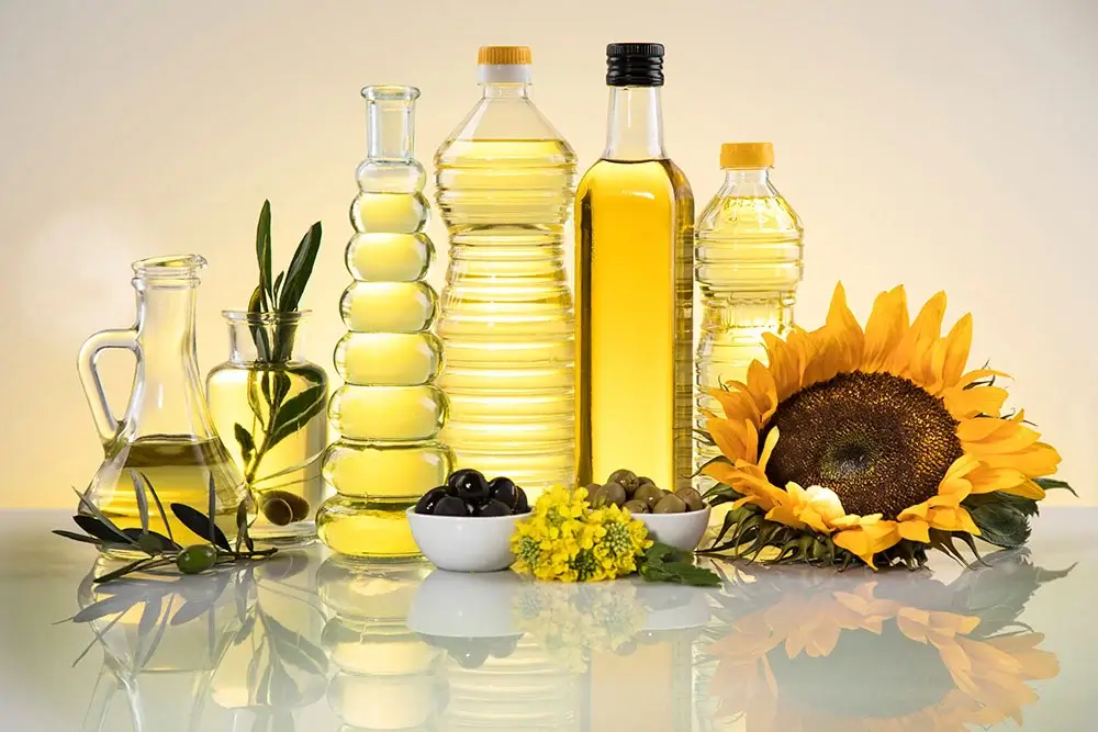 Beste Omega-3-Öle für die Gesundheit von Hunden