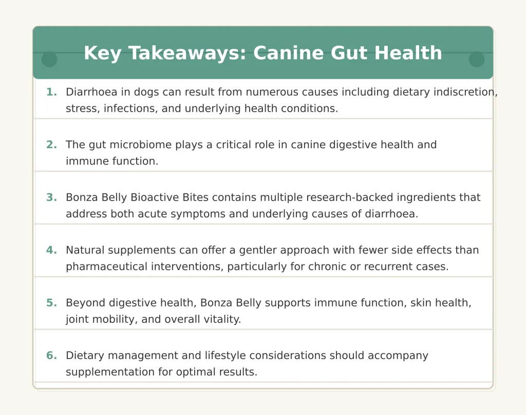 Best Supplement for Dog Diarrhoea - Gut Health Support Key Takeaways