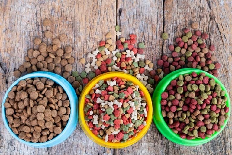 Best Vegan Dog Food Brands UK Review and Comparison