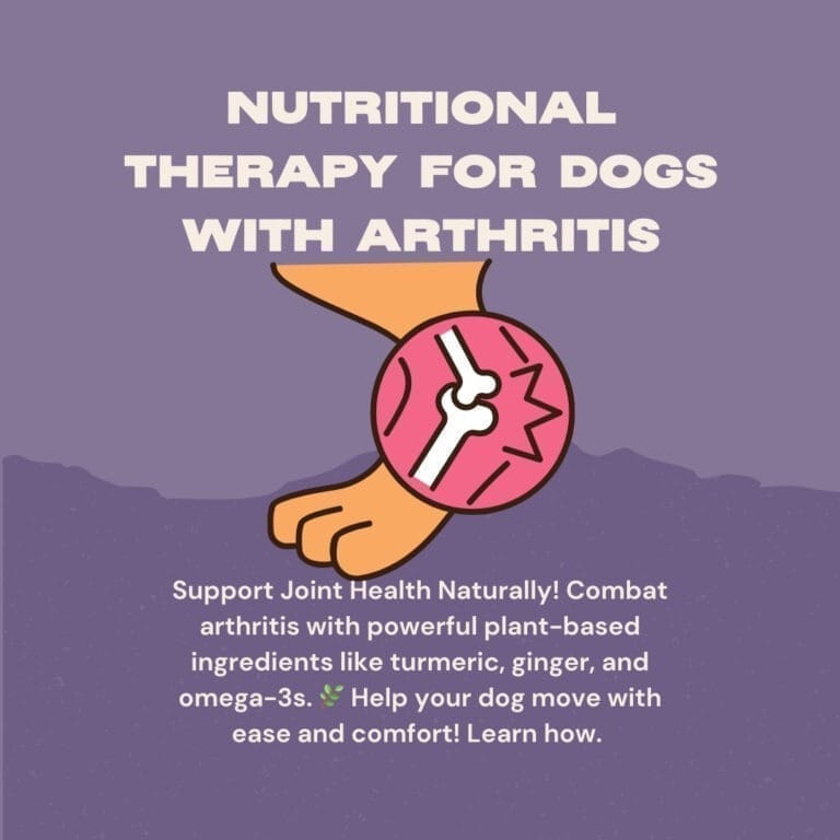 Bestes pflanzliches Hundefutter und funktionelle Ergänzungsmittel für Arthritis Der umfassende Leitfaden