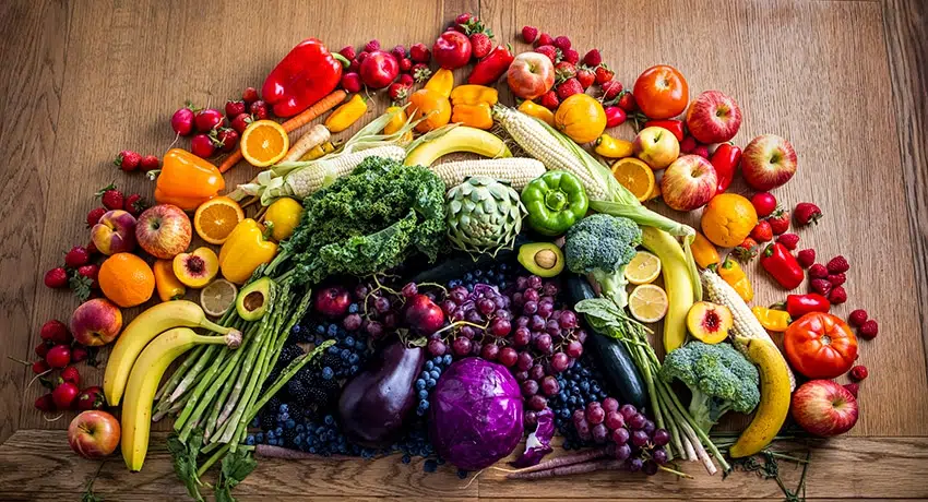 Bestes veganes Hundefutter besser als Huhn
