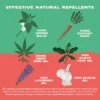 Bonza Banish Bioactive Bites Effective Natural Flea Repellent and Treatment for Dogs