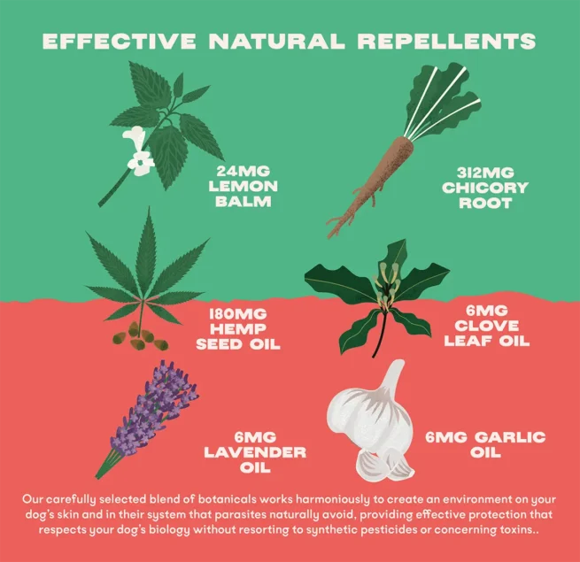 Bonza Banish Bioactive Bites Effective Natural Flea Repellent and Treatment for Dogs