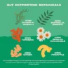 Bonza Belly Bioactive Bites Verdauungsergänzungsmittel für Hunde Pflanzliche Darm- und Verdauungshilfe für IBD Colitis IBS Durchfall und Gastritis