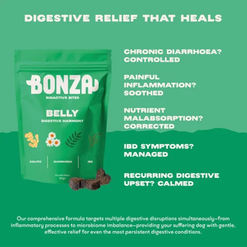 Bonza Belly Bioactive Bites Digestive Supplement for Dogs IBD Colitis IBS Diarrhoea and Gastritis Effective Relief (en anglais)