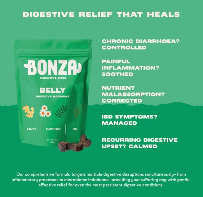 Bonza Belly Bioactive Bites Verdauungsergänzungsmittel für Hunde IBD Colitis IBS Diarrhöe und Gastritis Effektive Linderung