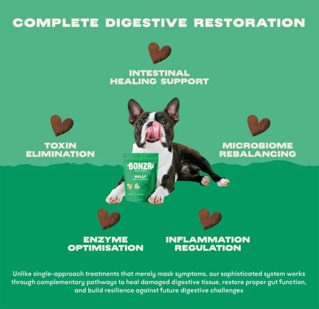 Bonza Belly Bioactive Bites Verdauungsergänzungsmittel für Hunde IBD Colitis IBS Diarrhöe und Gastritis Verbessert die Verdauung und das Gleichgewicht des Darmmikrobioms