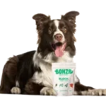 Supplément pour les démangeaisons du chien - Meilleur traitement naturel Bonza Bioactive Bites Block Meilleur supplément pour les démangeaisons du chien Traitement et soulagement naturels