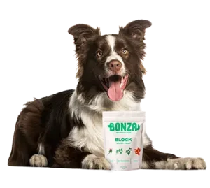 Bonza Bioactive Bites Block Bestes Ergänzungsmittel für Juckreiz bei Hunden Natürliche Behandlung und Linderung