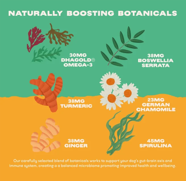 Bonza Biotics Bioactive Bites Prebiotic Probiotic Postbiotics Natural Herbal Supplements for Dogs Immune System and Gut Microbiome