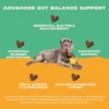 Bonza Biotics Bioactive Bites Prebiotic Probiotic Postbiotics Supplements for Dogs Advanced Natural Support for Gut Microbiome Health