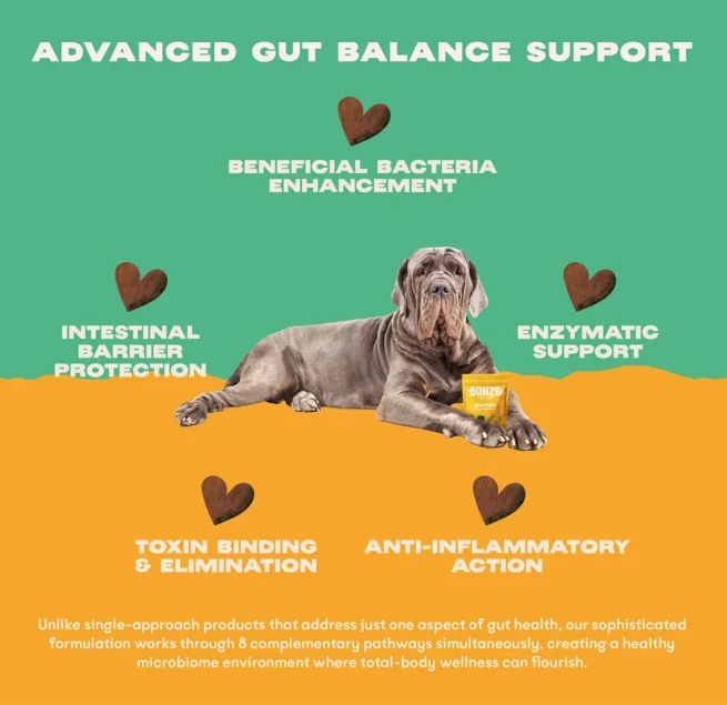 Bonza Biotics Bioactive Bites Prebiotic Probiotic Postbiotics Supplements for Dogs Advanced Natural Support for Gut Microbiome Health