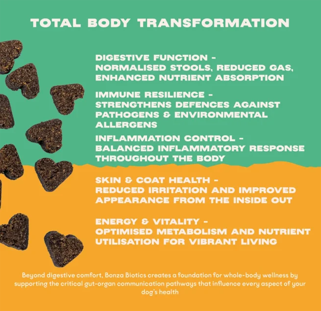 Bonza Biotics Bioactive Bites Prebiotic Probiotic Postbiotics Supplements for Dogs Supports Immunity Skin and Coat Health Reduces Inflammation