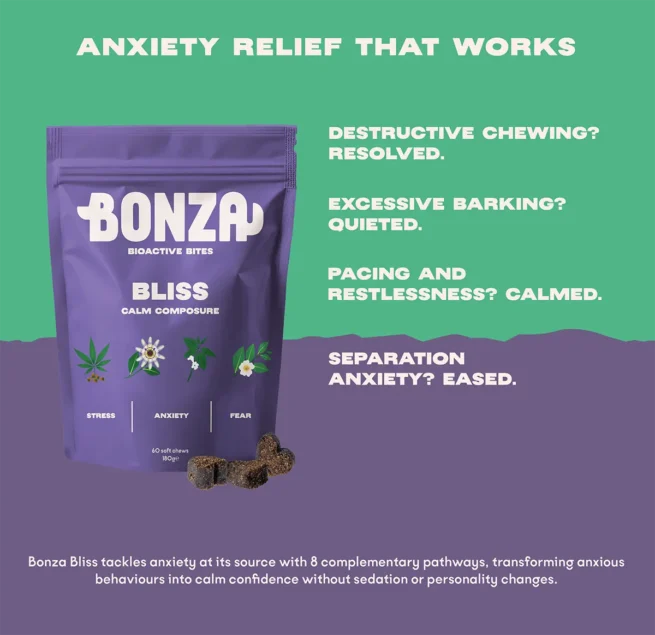 Bonza Bliss Bioactive Bites Beruhigungsmittel für Hunde Stress Angst Reduziert Kauen Bellen und Unruhe