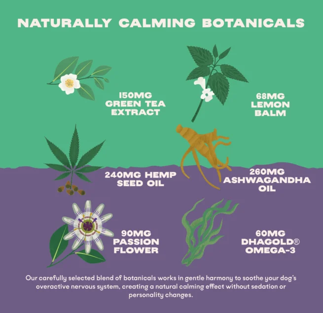 Bonza Bliss Bioactive Bites Beruhigungsmittel für Hunde Stress Angst und Furcht Natürliche Kräuterformel
