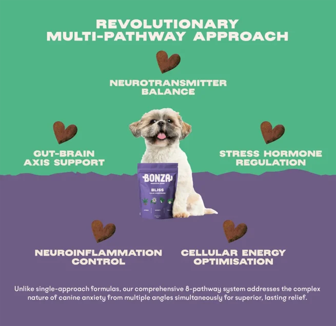 Bonza Bliss Bioactive Bites Beruhigungsmittel für Hunde Stress, Angst und Furcht Revolutionäre Multi-Pfad-Wirksamkeit