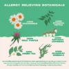 Bonza Block Bioactive Bites Natural Antihistamine Supplement for Dogs Allergies Botanicals for Allergy Relief (en anglais seulement) Bonza Block Bioactive Bites Natural Antihistamine Supplement for Dogs Allergies Botanicals for Allergy Relief (en anglais seulement)