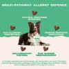 Bonza-Block-Bioactive-Bites-Natural-Antihistamine-Supplement-for-Dogs-Multi-Pathway-Allergy-Defence-2 Bonza Block Bioactive Bites Natural Antihistamine Supplement for Dogs Multi-Pathway Allergy Defence