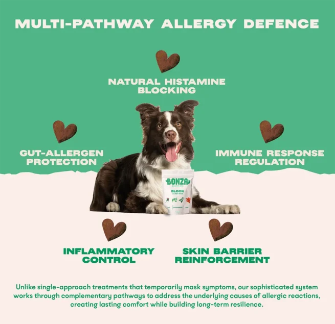 Bonza-Block-Bioactive-Bites-Natural-Antihistamine-Supplement-for-Dogs-Multi-Pathway-Allergy-Defence-2 Bonza Block Bioactive Bites Natural Antihistamine Supplement for Dogs Multi-Pathway Allergy Defence