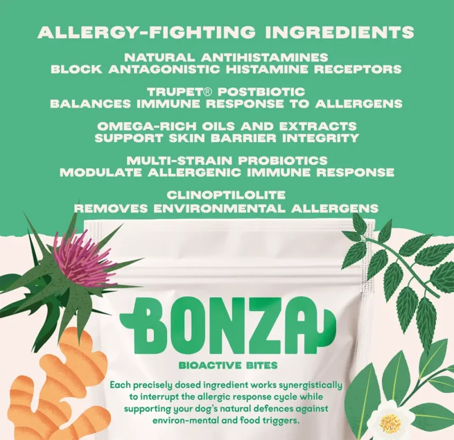 Bonza Block Bioactive Bites Supplément antihistaminique naturel pour chiens Protection contre les allergies Bonza Block Bioactive Bites Supplément antihistaminique naturel pour chiens - Protection et soutien contre les allergies