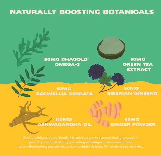 Bonza Boost Vitamines-Minéraux Herbes Adaptogènes Suppléments pour la santé des chiens âgés