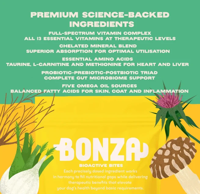 Bonza Boost Suppléments de vitamines et minéraux pour chiens âgés