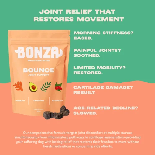 Bonza Bounce Gelenk- und Bewegungsergänzung für Hunde Wirkungsbereiche Bonza Bounce Advanced Joint and Mobility Supplement für Hunde Wie es wirkt