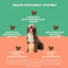 Bonza Bounce Joint and Mobility Supplement for Dogs Advanced Multi-pathway Joint and Mobility Support System