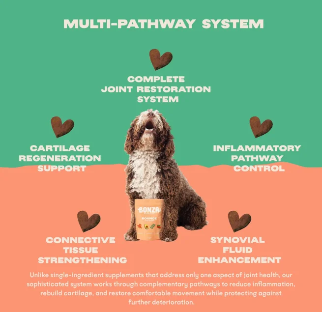 Bonza Bounce Joint and Mobility Supplement for Dogs Advanced Multi-pathway Joint and Mobility Support System